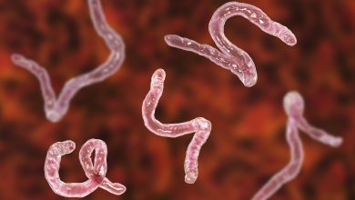 can pinworms cause weight gain
