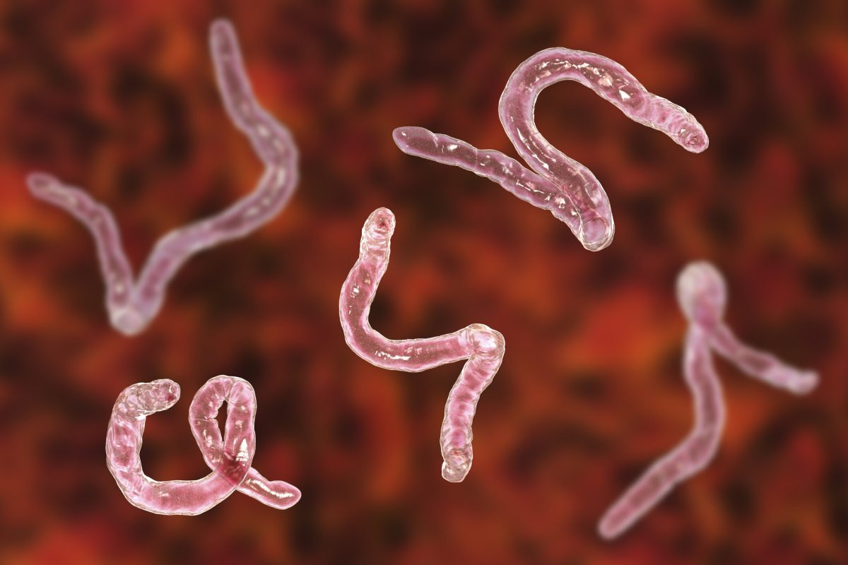 can pinworms cause weight gain