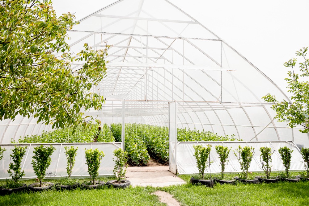 poly house manufacturers